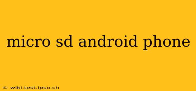 micro sd android phone